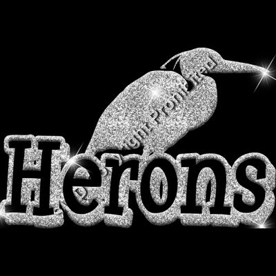 GLT17 SILVER GLITTER Thumbnail